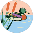 C Landry profile picture