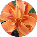 Serena McIntyre profile picture