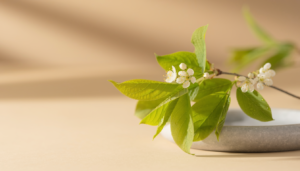 Seasonal transitions influence skin physiology